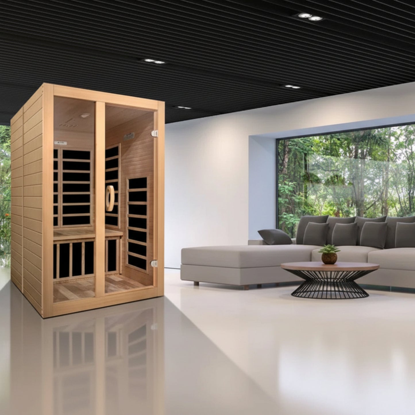 Dynamic Infrared Santiago 2 - Person FAR Infrared Sauna in Hemlock